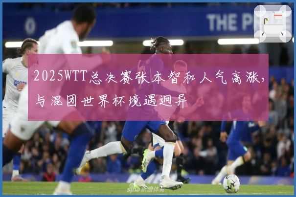 2025WTT总决赛张本智和人气高涨，与混团世界杯境遇迥异