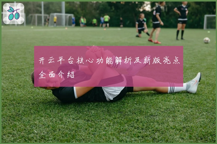 开云平台核心功能解析及新版亮点全面介绍