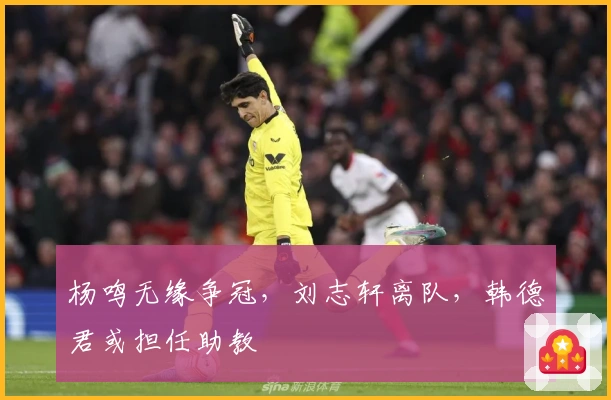 杨鸣无缘争冠，刘志轩离队，韩德君或担任助教